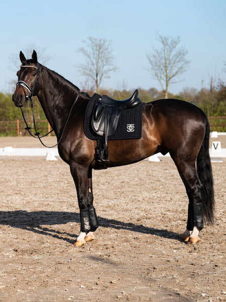 Ps of Sweden - guêtres Premium training - 2 coloris