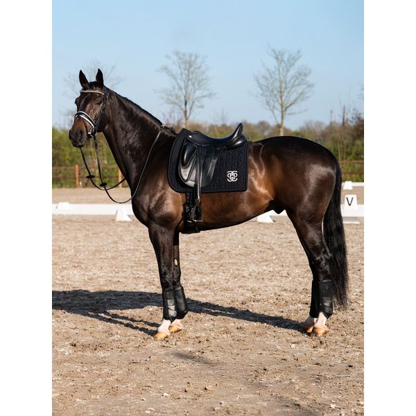 Ps of Sweden - guêtres Premium training - 2 coloris