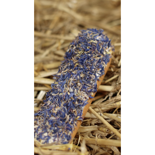 Candy horse - éclair au bleuet