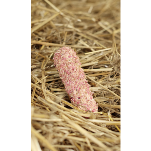 Candy horse - éclair à la rose