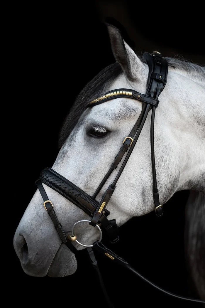 Utzon Equestrian - Bridon Olympic - glitter