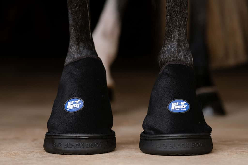 Ice Horse Hoof Ice Boots, 6 inserts froids inclus, cryothérapie ciblée pour le sabot