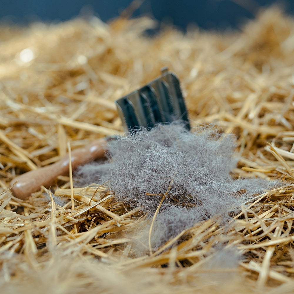 Borstiq Étrille métallique carrée, élimine la boue, pour les robes épaisses