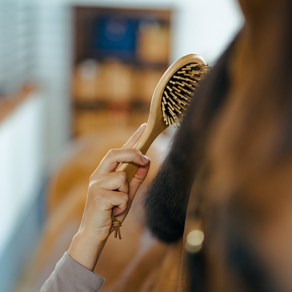Borstiq Brosse à crinière et à queue, démêle, finition lisse