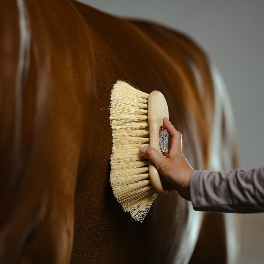 Borstiq Brosse de corps Mexfiber, 7 cm, pansage polyvalent, convient aussi aux membres