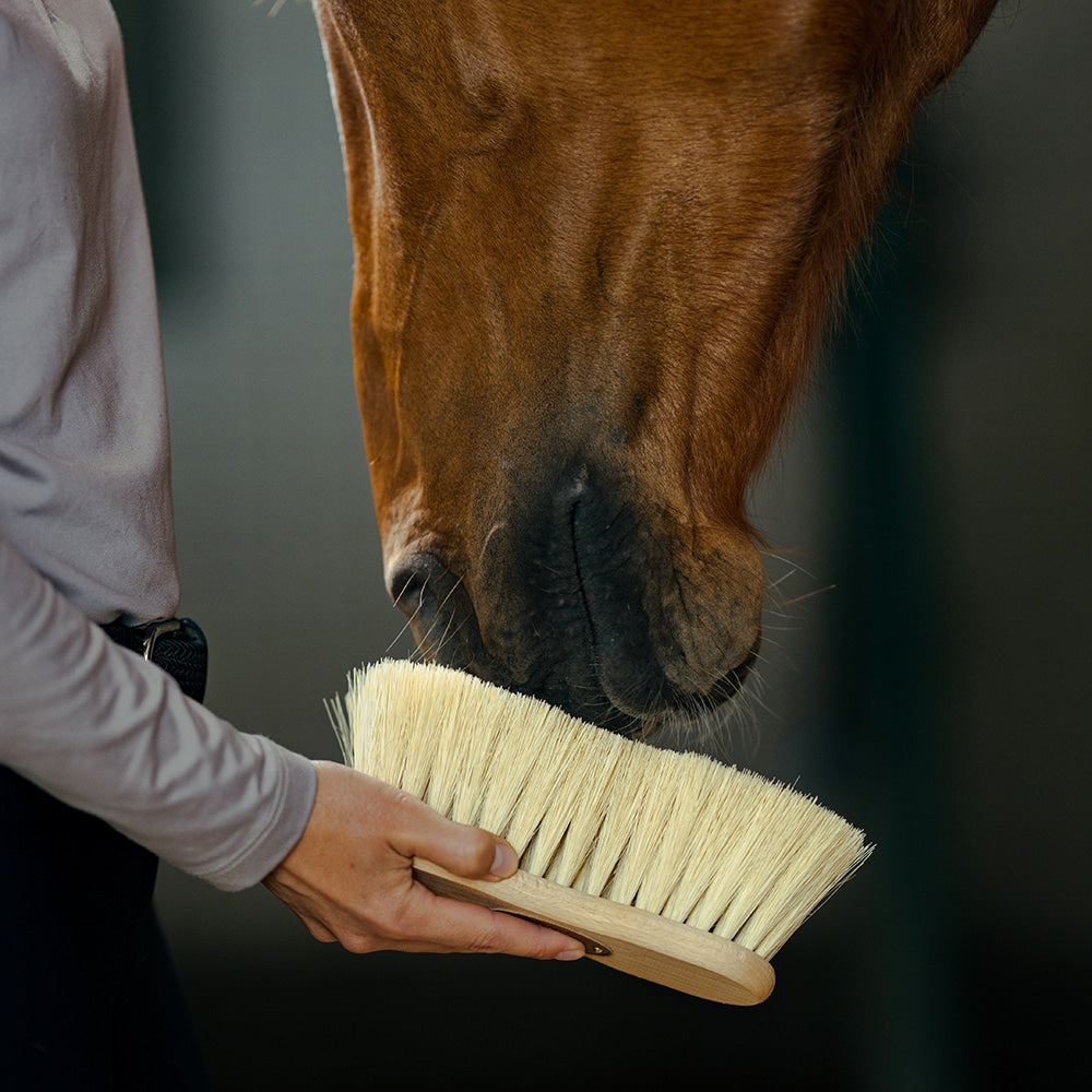 Borstiq Brosse de corps Mexfiber, 7 cm, pansage polyvalent, convient aussi aux membres