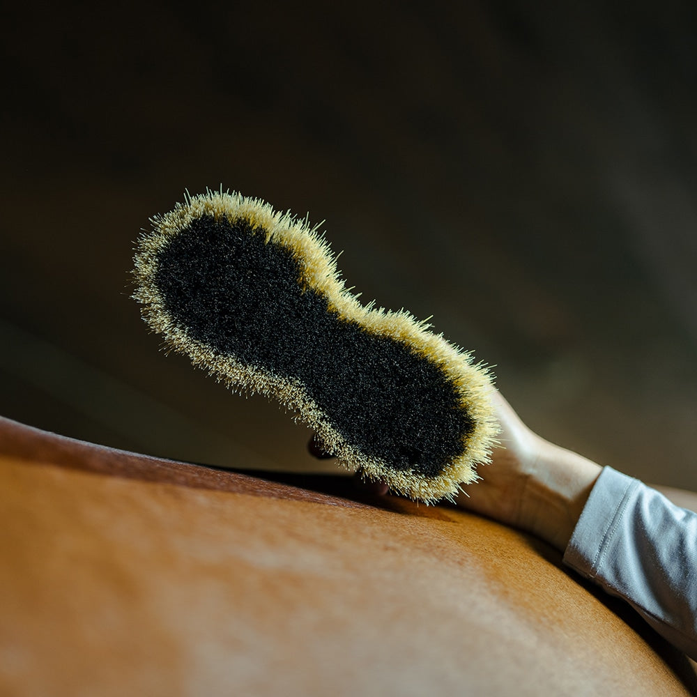 Borstiq Brosse de corps polyvalente Mix Mex, nettoyage et finition combinés
