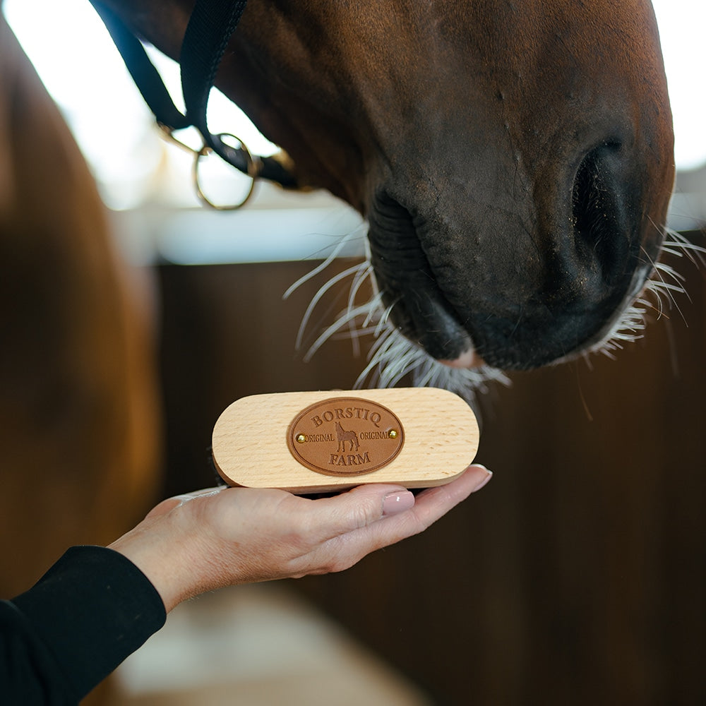 Borstiq Petite brosse pour la tête en fibres de polypropylène, zones sensibles, nettoyage doux et précis