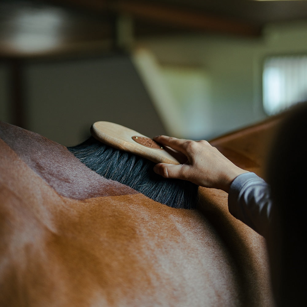 Borstiq Brosse de corps Easy-grip en crin de cheval, très douce, élimine la poussière