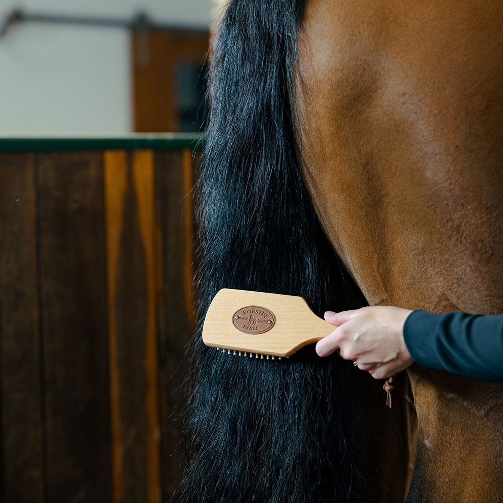 Borstiq Brosse à crinière et à queue avec dos en bois et picots en caoutchouc, démêlage, confort maximal