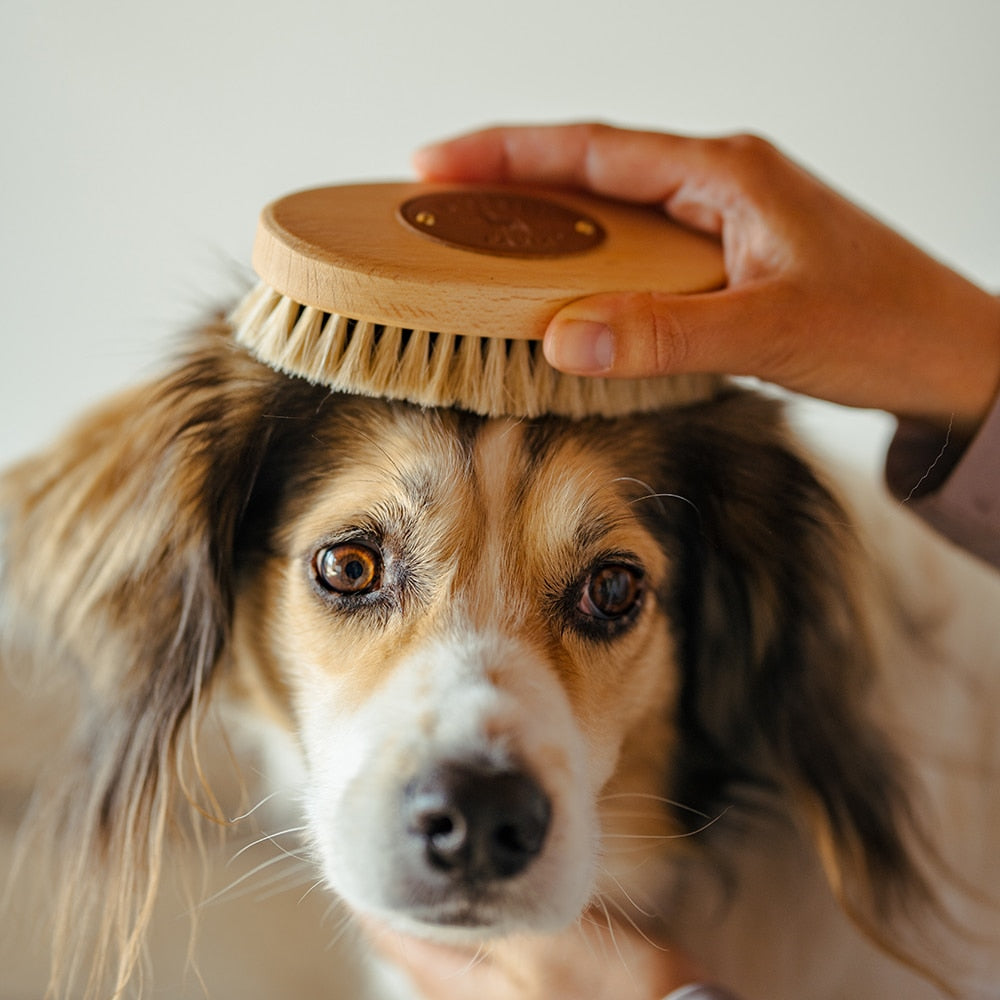 Borstiq Petite brosse pour la tête en crin de cheval, tête et zones sensibles, brosse de finition