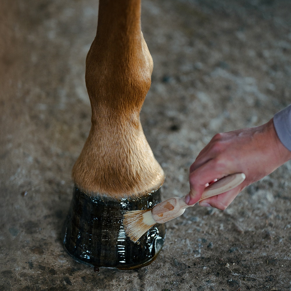 Borstiq Brosse à sabots avec manche en hêtre et fibres naturelles, pour appliquer huile ou graisse à sabots, usage quotidien