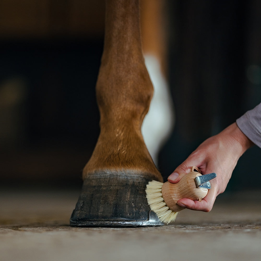Borstiq Brosse à sabots en fibres synthétiques, nettoyage et entretien du sabot, adaptée à un usage intensif