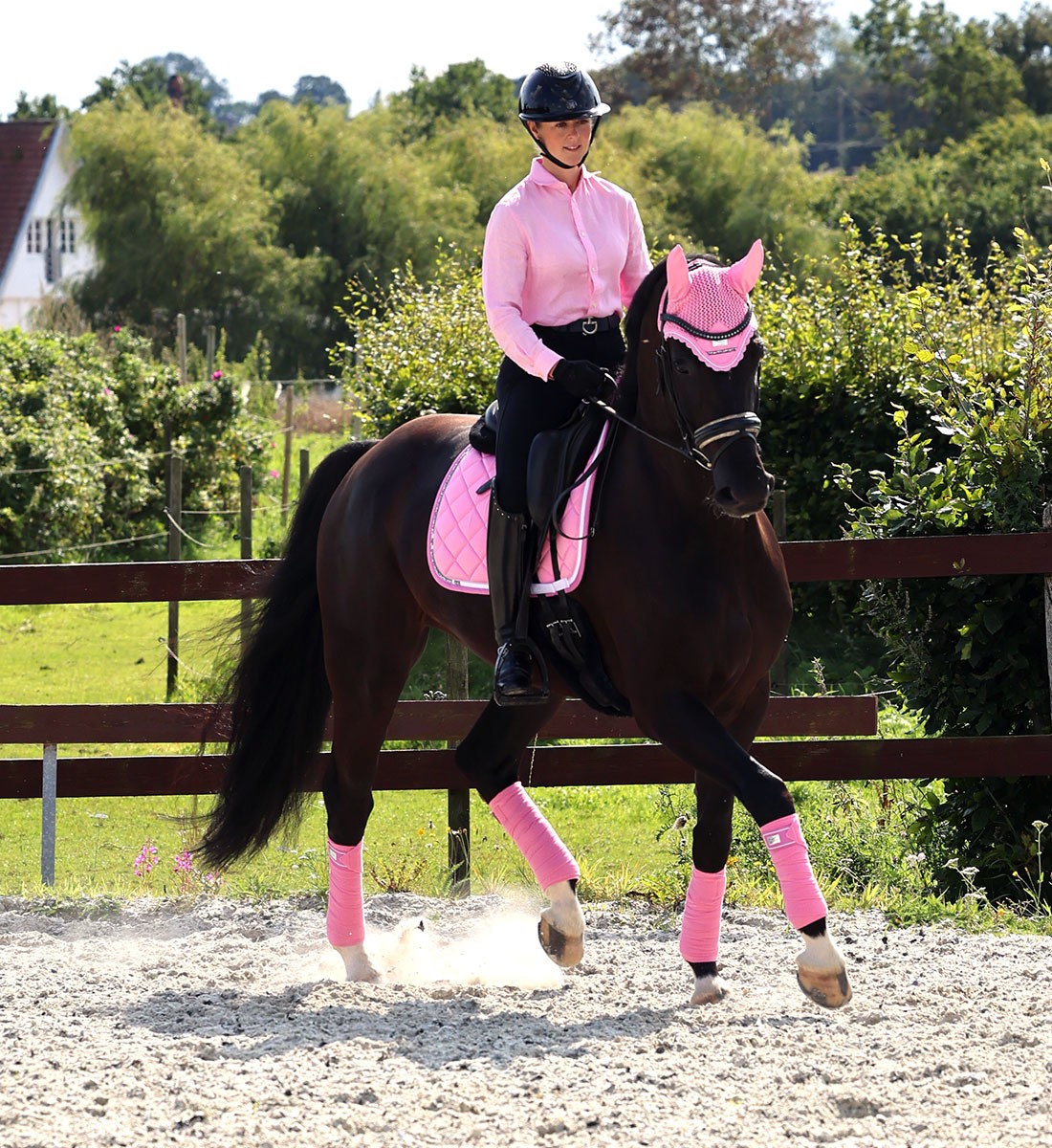 RiderByHorse - tapis platinum stone  - begonia pink