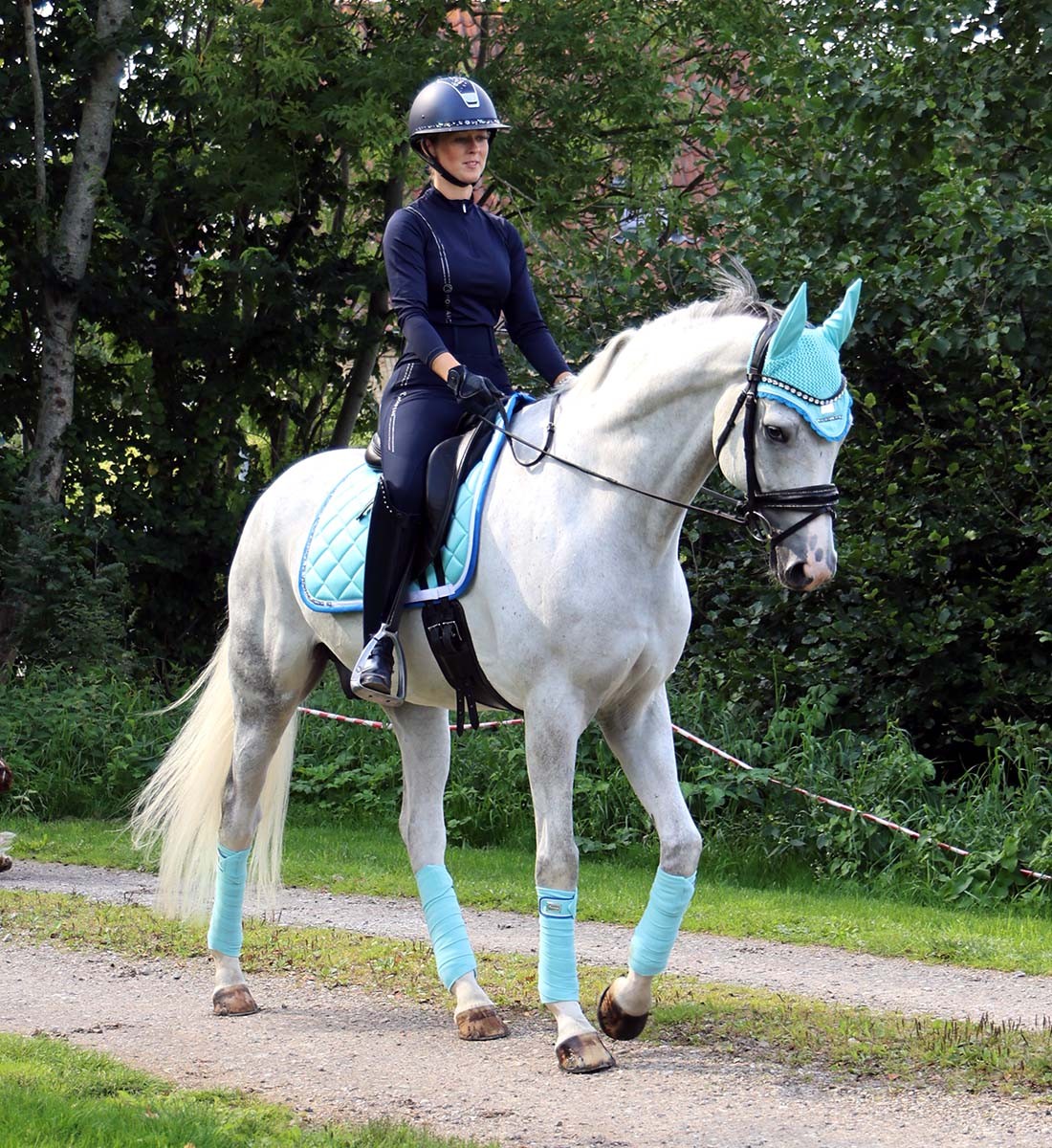 RiderByHorse - tapis platinum stone  - Tibetan stone