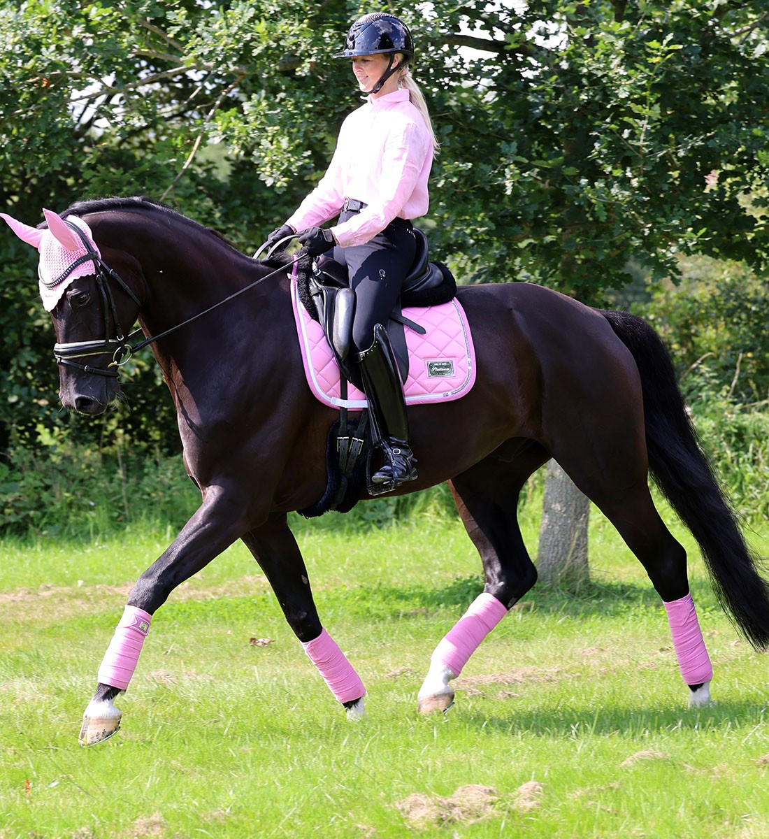 RiderByHorse- bandes polaire platinum - begonia pink