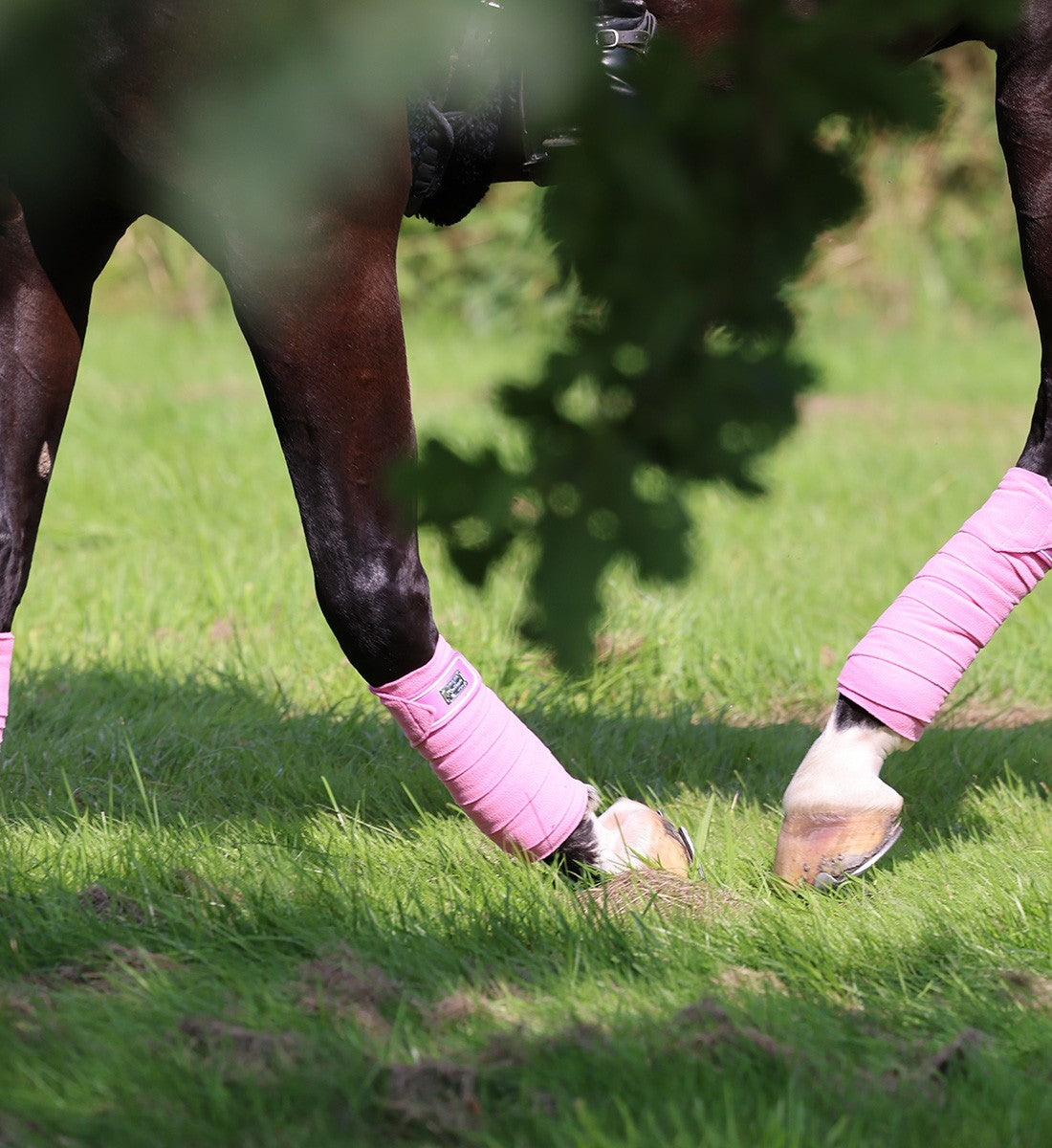 RiderByHorse- bandes polaire platinum - begonia pink