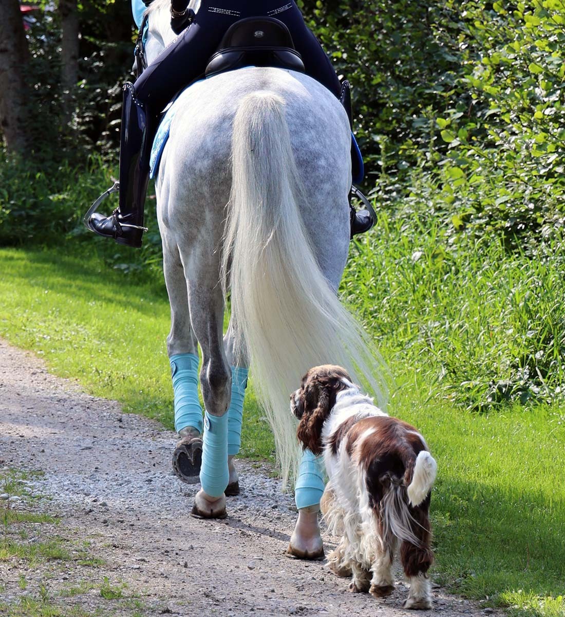 RiderByHorse- bandes polaire platinum - tibetan stone