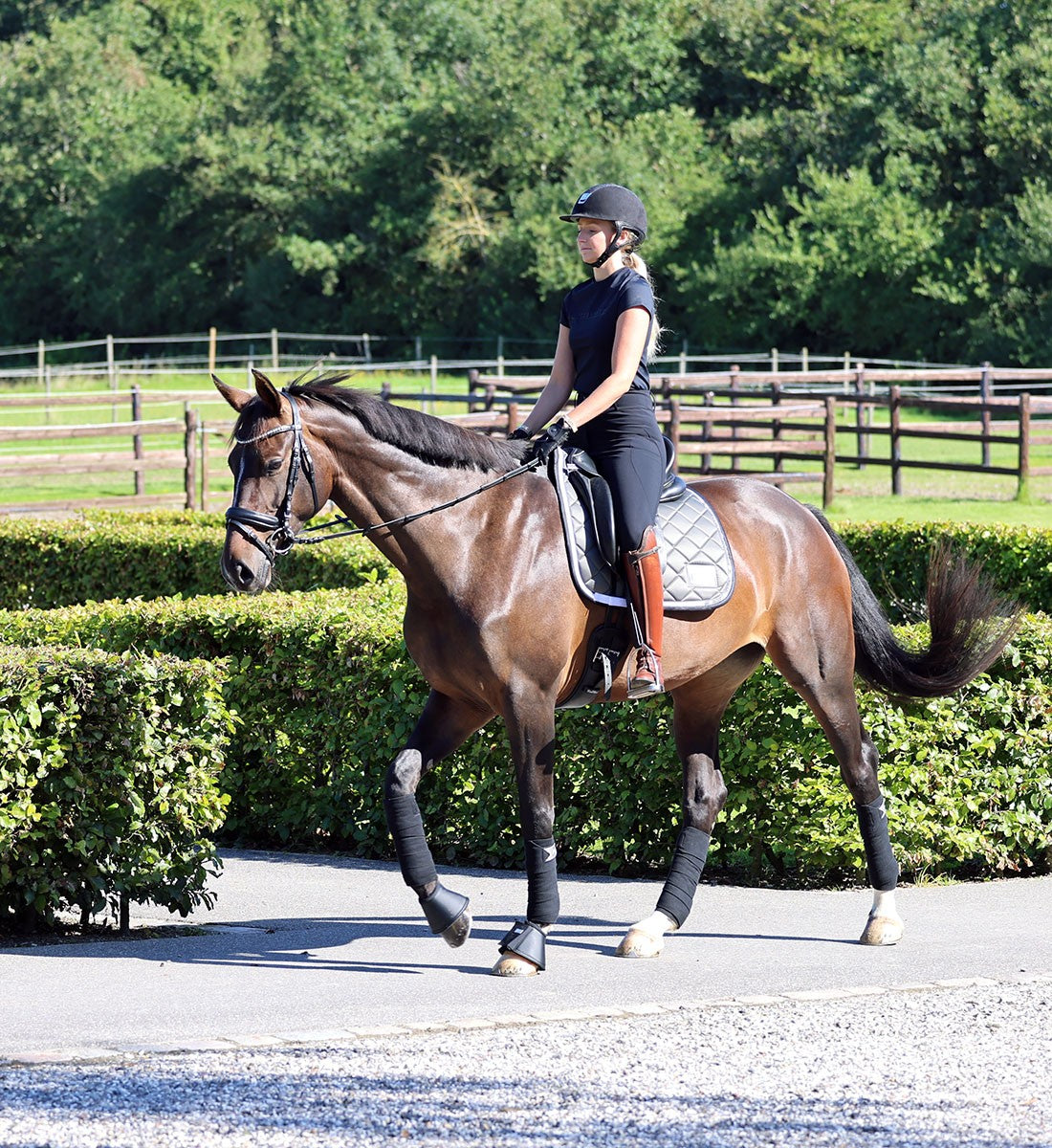 RiderByHorse- bandes polaire platinum - fine grey