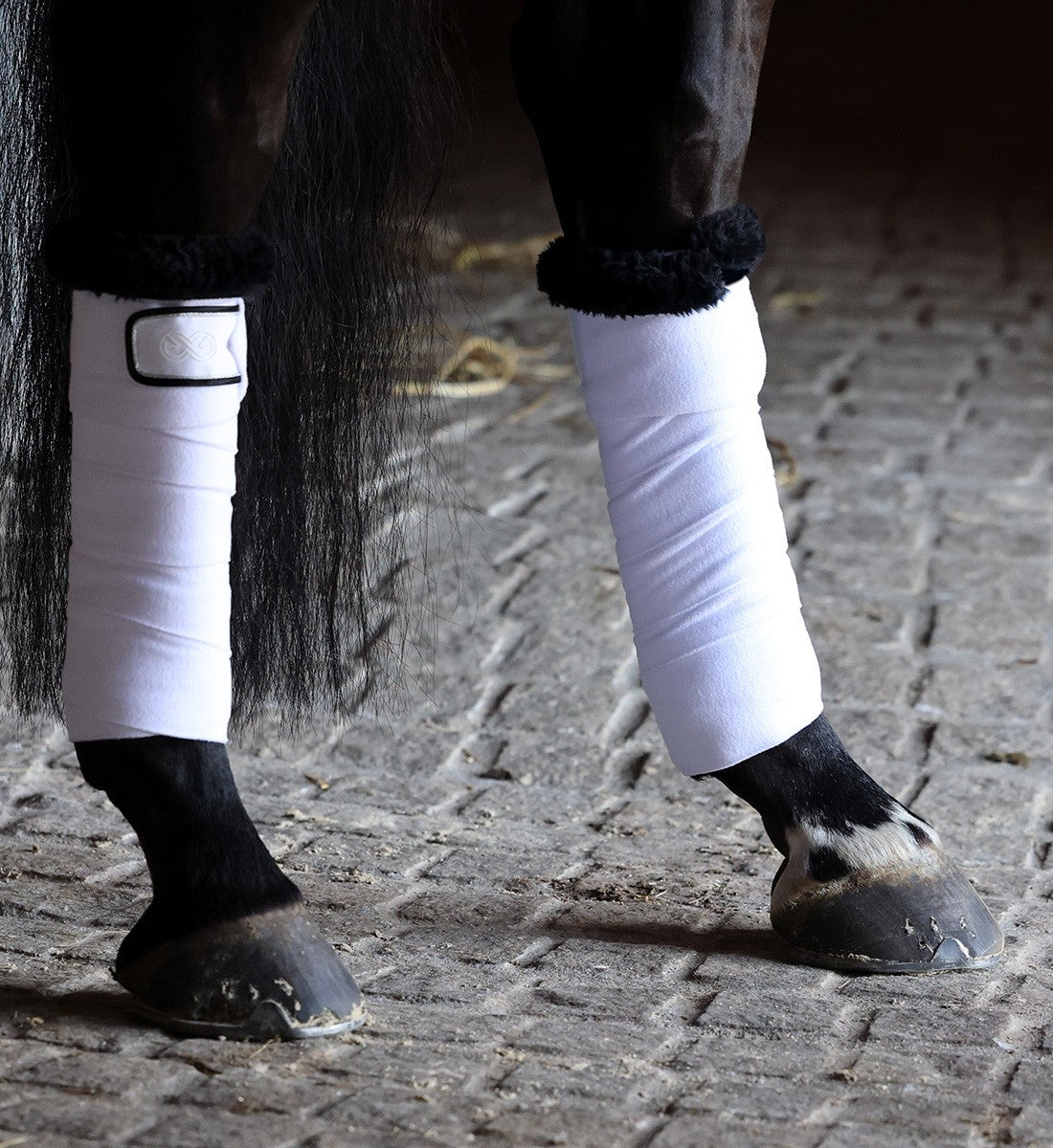 RiderByHorse- bandes polaire infinity - white