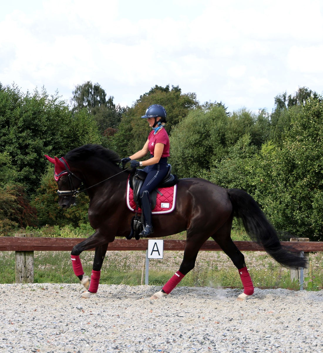 RiderByHorse - tapis platinum - beet red