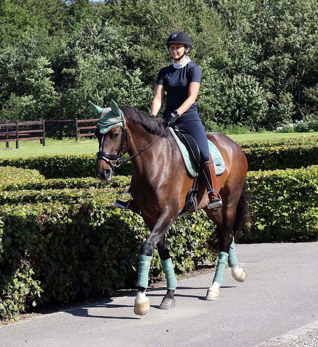 RiderByHorse - tapis platinum - dark ivy