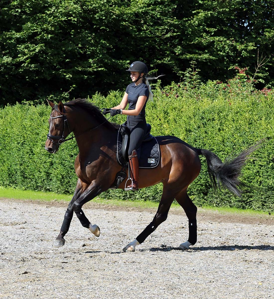 RiderByHorse - tapis platinum - black