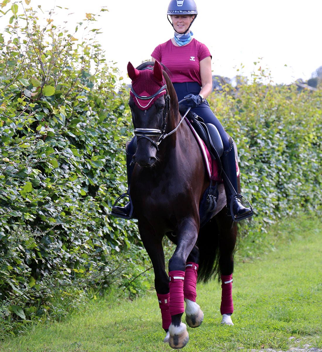 RiderByHorse- bandes polaire platinum - beet red