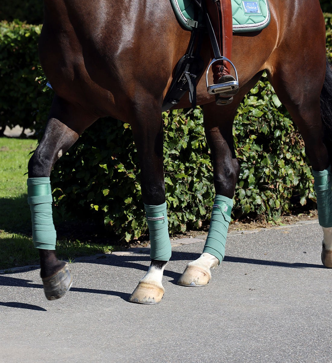 RiderByHorse- bandes polaire platinum - dark ivy