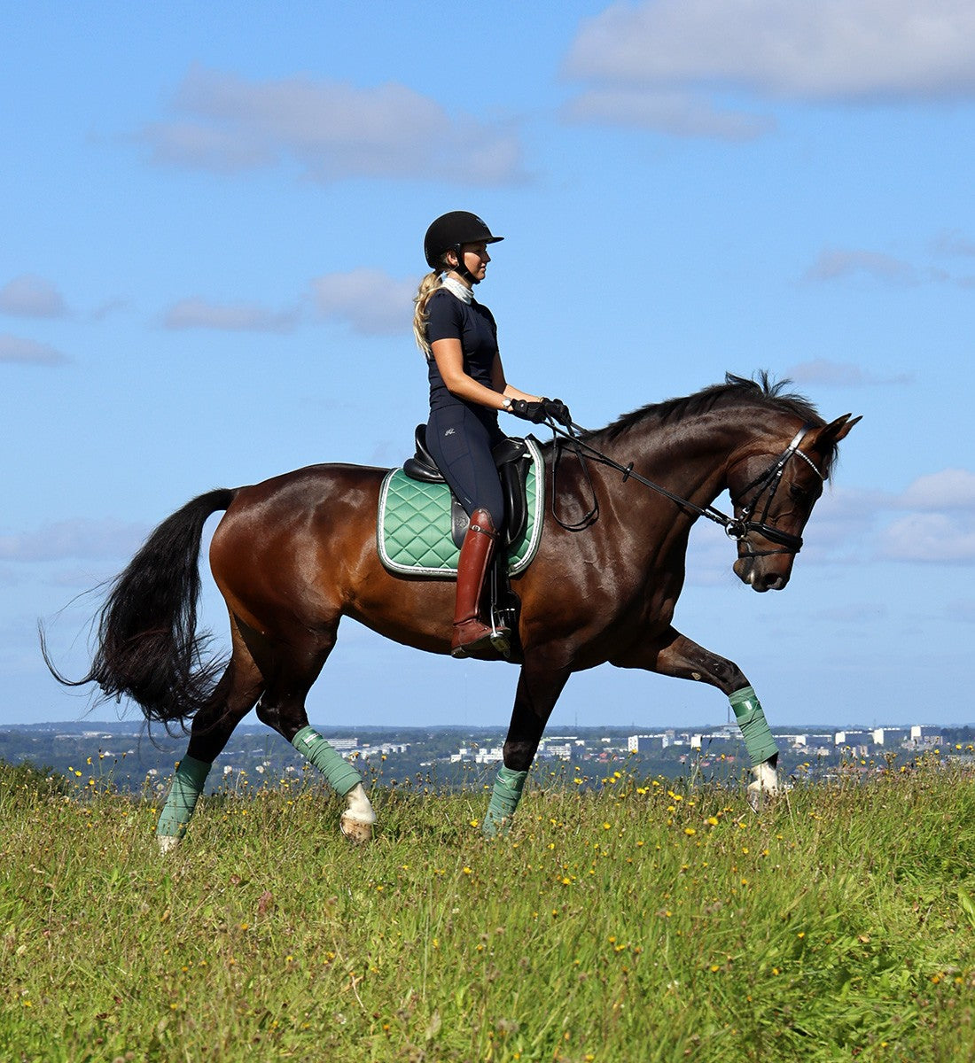 RiderByHorse- bandes polaire platinum - dark ivy