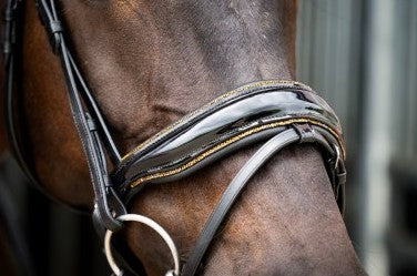 HB - bridon golden dream