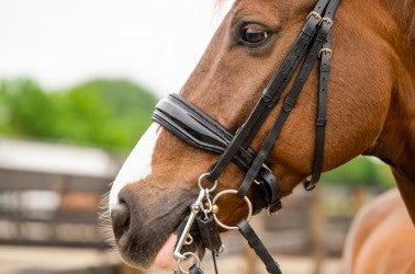 HB - bride all you needed - noir glitter