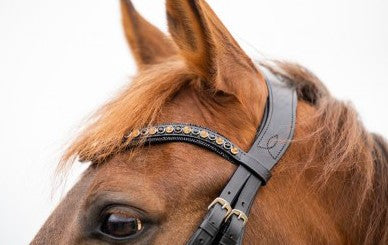 HB - bride all you needed - noir glitter