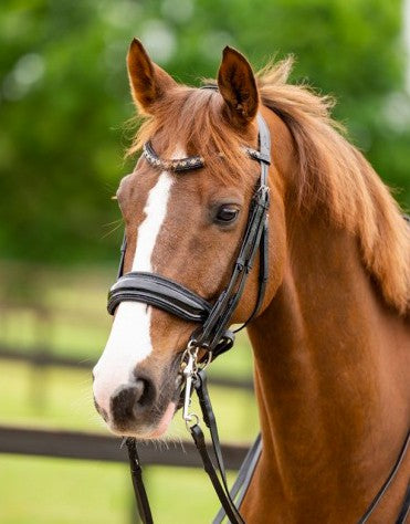 HB - bride all you needed - noir glitter