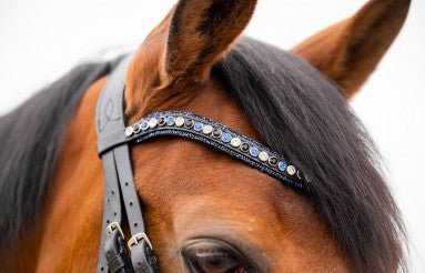 HB - bride all you needed - navy glitter