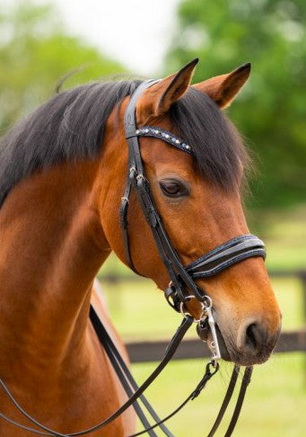 HB - bride all you needed - navy glitter