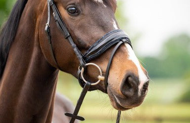 HB - bridon las vegas - navy glitter