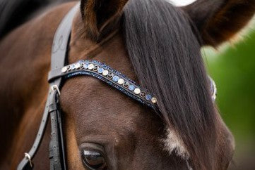 HB - bridon las vegas - navy glitter