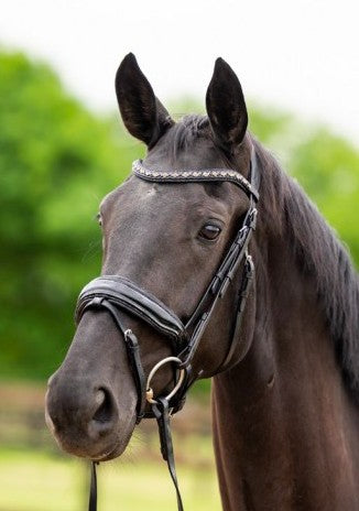 HB - bridon las vegas - noir glitter