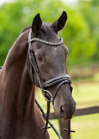 HB - bridon las vegas - noir glitter