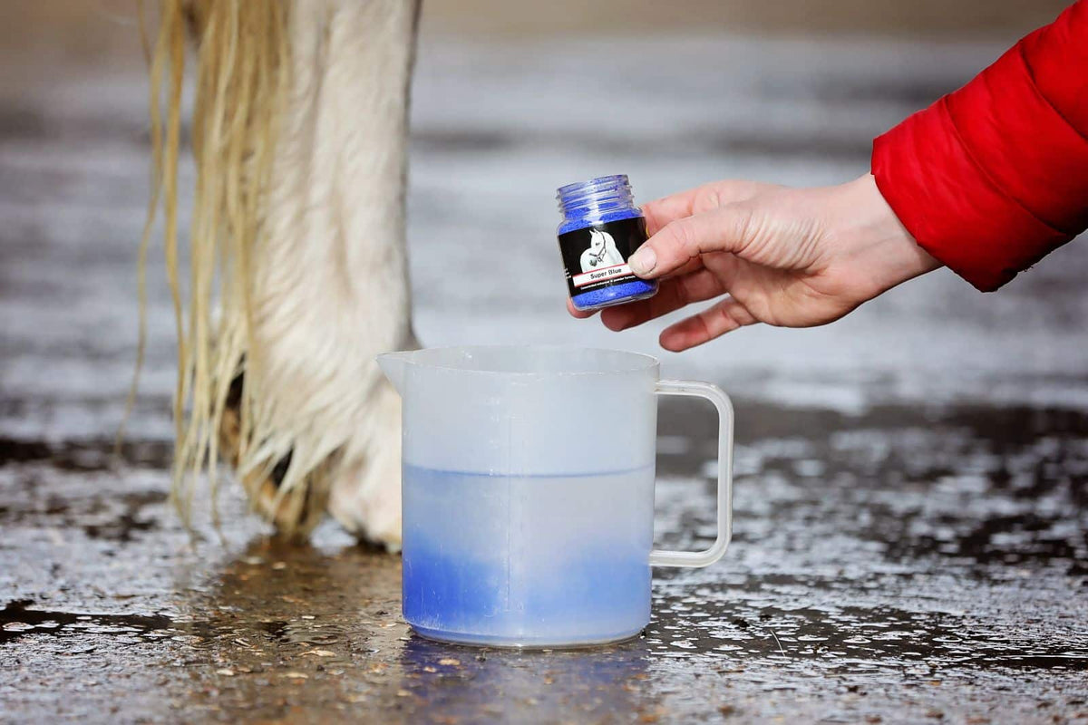 Smart Grooming Poudre blanchissante Super Blue, finition de concours, blanc éclatant