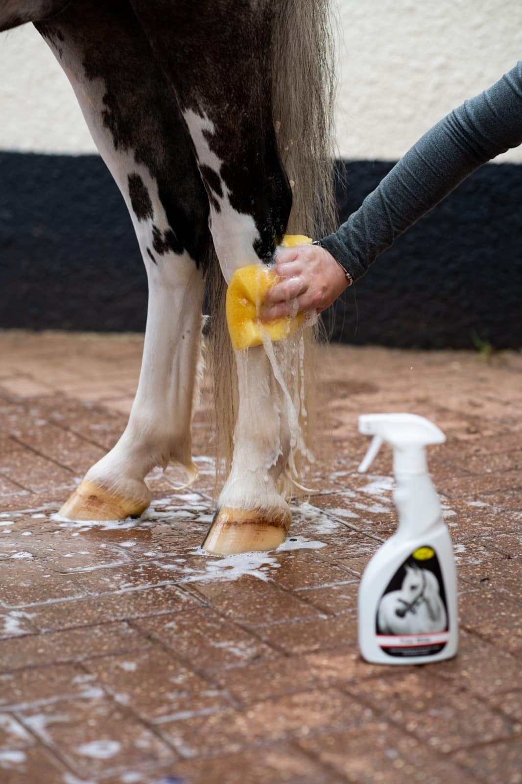 Smart Grooming Spray Polar White, élimine les taches, blanc éclatant