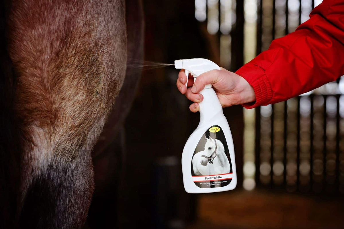 Smart Grooming Spray Polar White, élimine les taches, blanc éclatant
