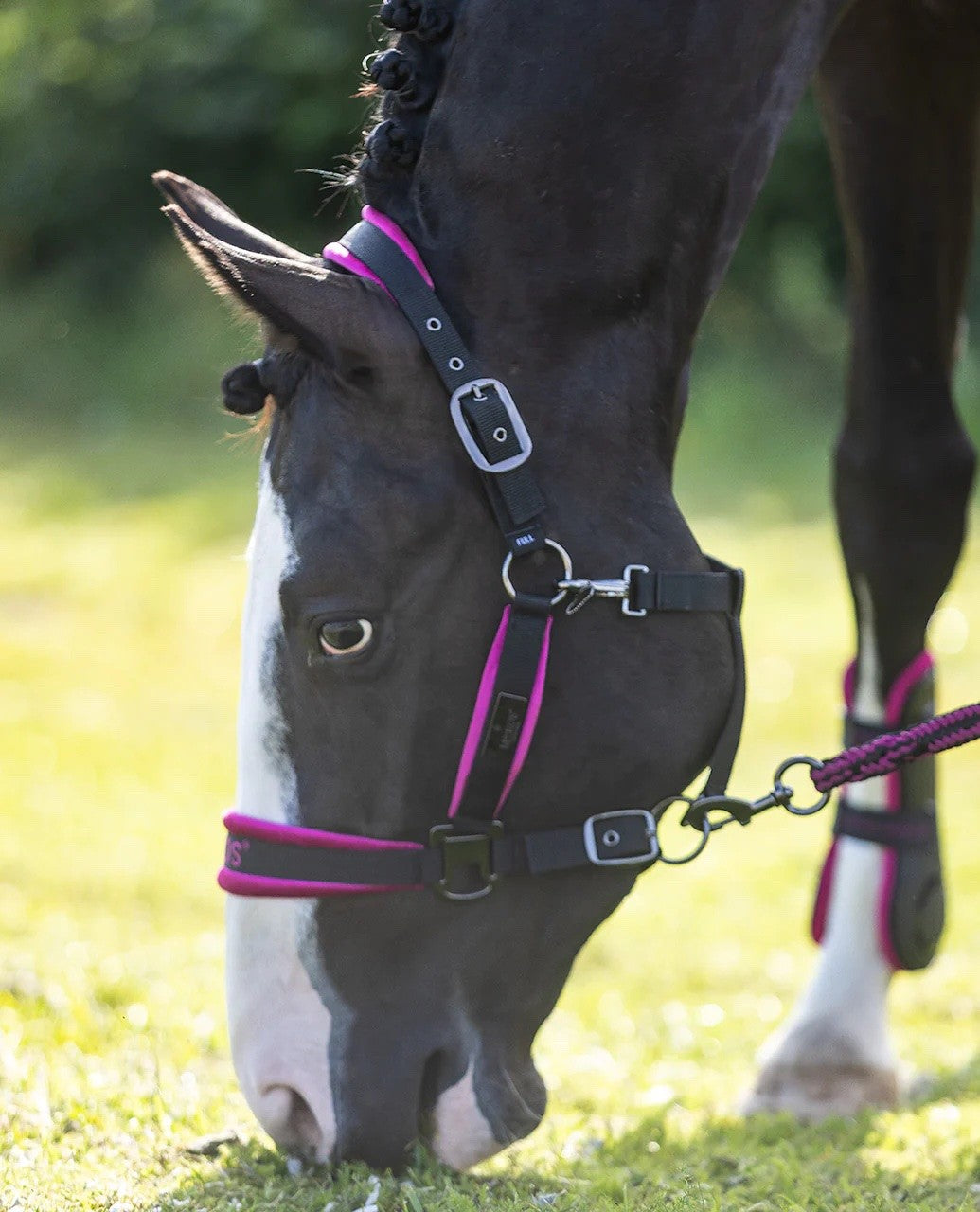 Mrs Ros - set licol et longe fushia