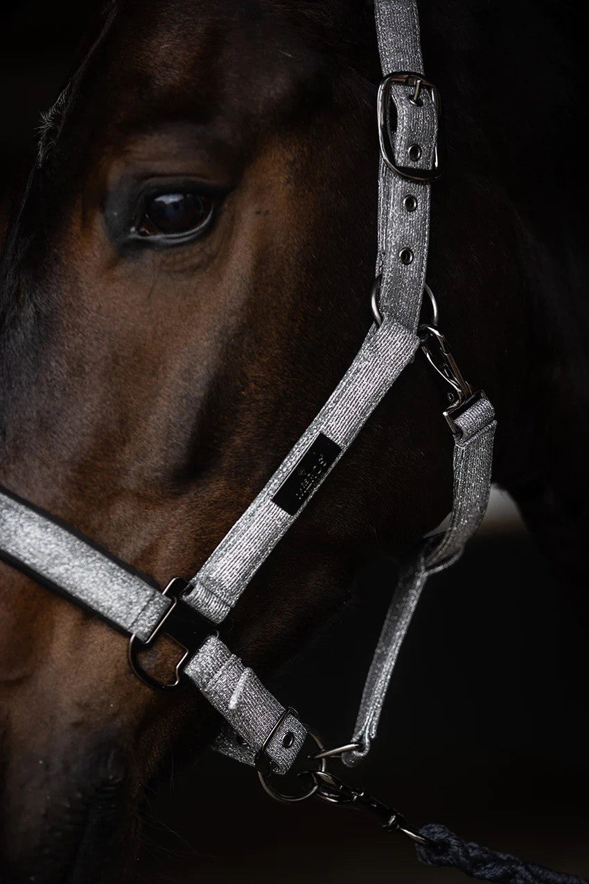 Mrs Ros - licol et longe - festive grey