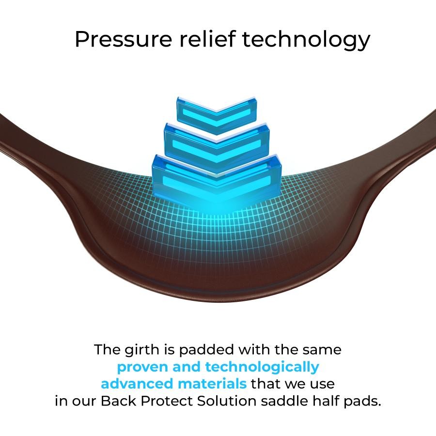 Winderen - sangle dressage - 2 coloris