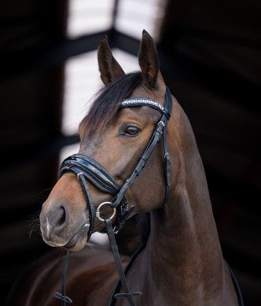 HB - bridon Stockholm strass noir