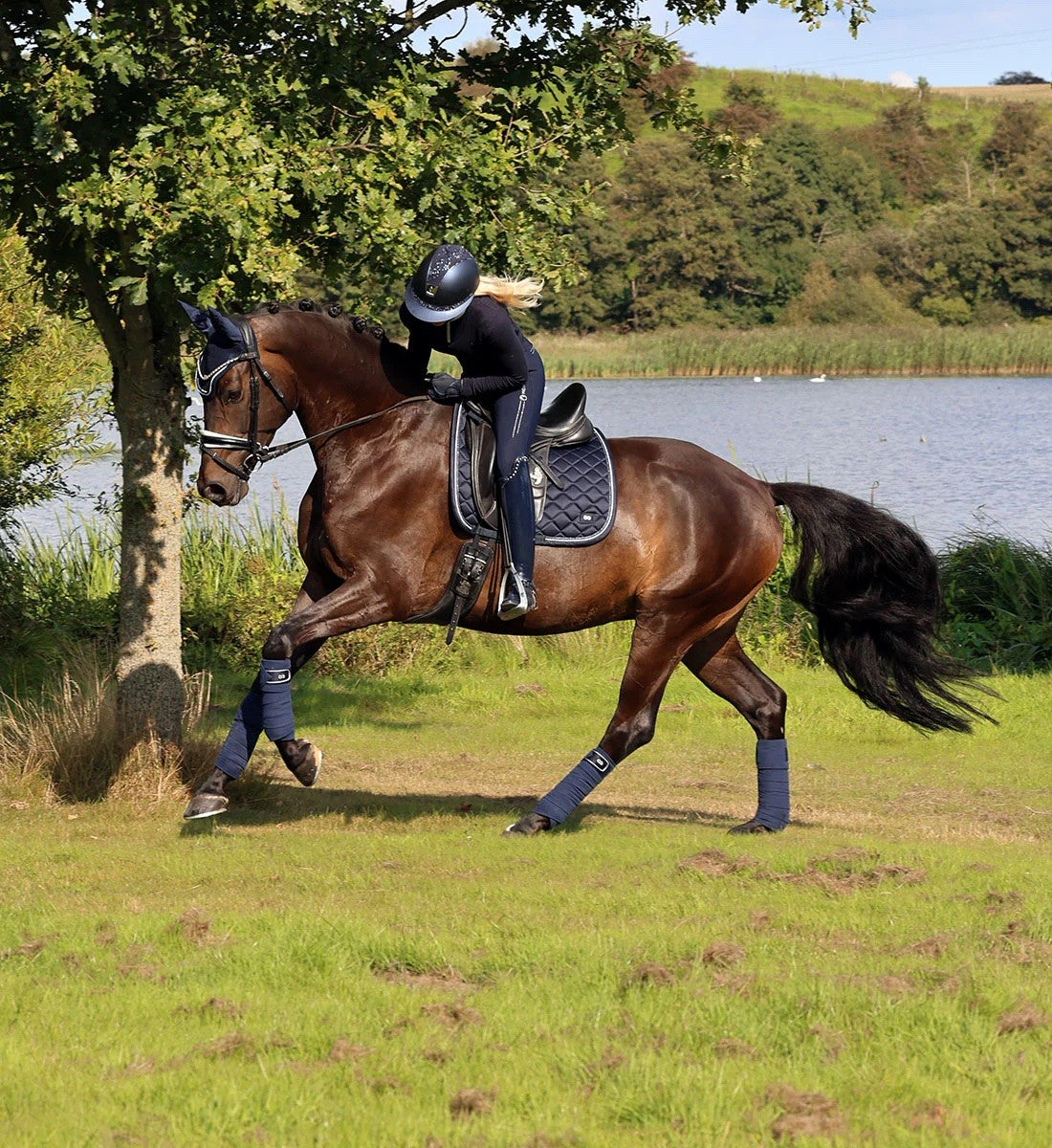 RiderByHorse - tapis prestige - navy