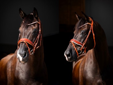 HB - bridon Ulani cognac