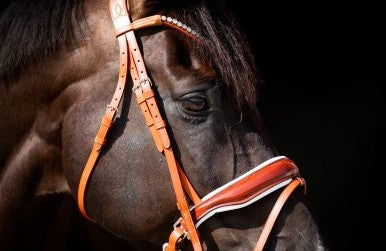 HB - bridon Ulani cognac